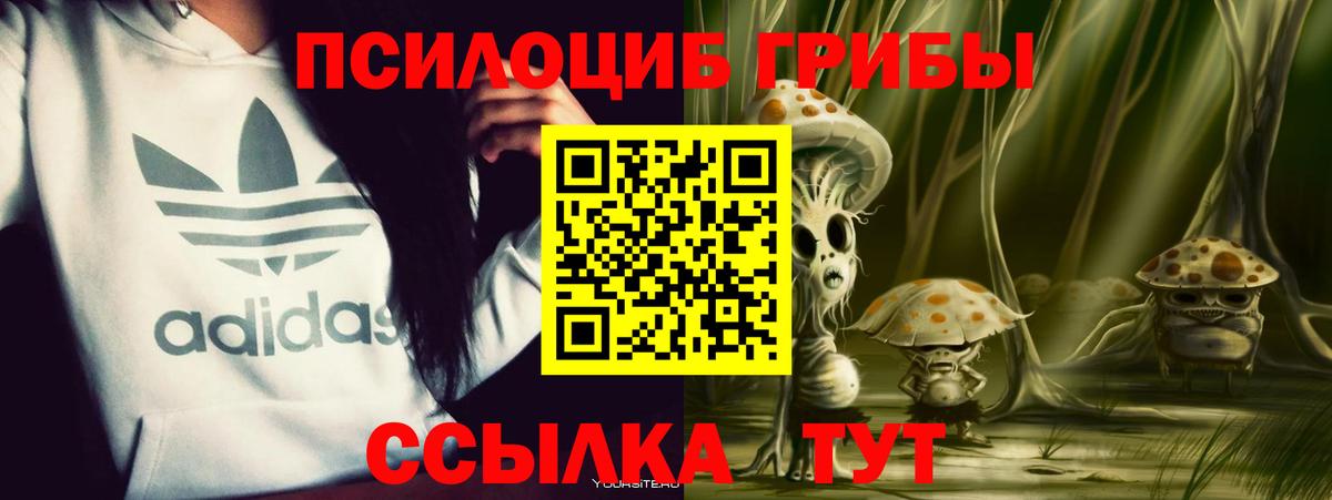Галлюциногенные грибы GOLDEN TEACHER  Вход с VPN  Псилоцибиновые грибы прущие грибы  Елабуга 
